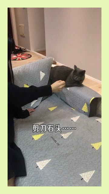 教你如何在剪刀石头布中百战百胜