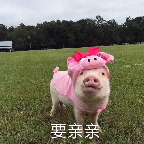 我就不嫁南乐人