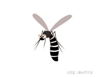 为什么关灯就有蚊子嗡嗡的叫