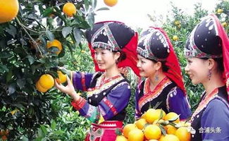 头条消息丨合浦大月饼申报国家地理标志保护产品获受理啦,快来投票支持