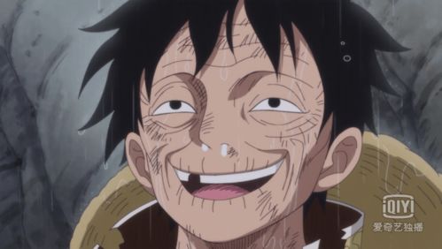 海贼王布琳的表情包才是最魔性的,路飞都比不上路飞vs布琳