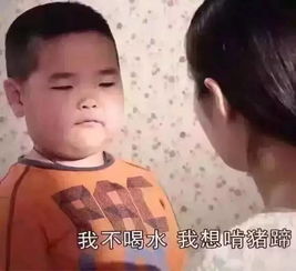 我与肥肉不得不说的爱情故事