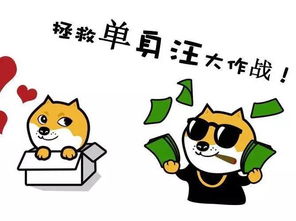 单身汪关爱攻略今夜,你的心应该属于我