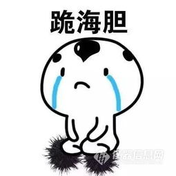 和泰揭榜领取你的女王礼物