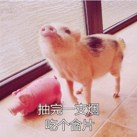 中年少女养生指南,天天嚷嚷着减肥却过着佛系生活