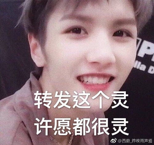 我手机里的表情包们和安利图片