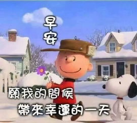 最美群发早上好问候动态表情图片,暖心的早安图片表情祝福语录