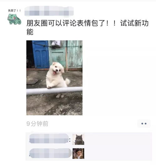 今天你更新微信了吗可以用表情包回复朋友圈了还有