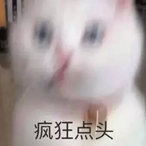 搞笑表情包搞笑表情包头像动图0616