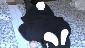 无表情挑战看着这只果兔兔散发可爱的视频合集时请保持无表情控制住嘴角上扬