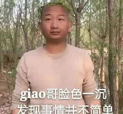 网红简史那些一作成名的网红们