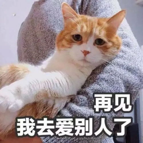 已婚男出轨女儿家教,小三携子住进主卧,与原配母女共同生活6年