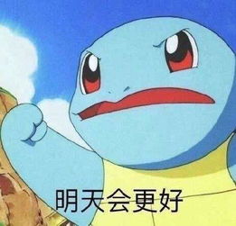 杰尼龟表情包合集让爷好好看看你这个憨批