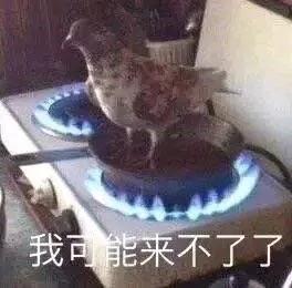 热到头昏热到爆炸,这么热的天不想上班怎么治
