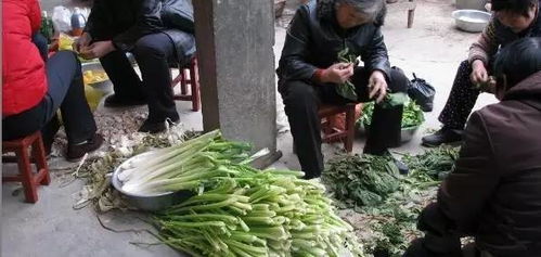 浦城人,你还记得那些年吃酒席的味道