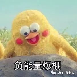 中国大姐新西兰机场被拦,现场发飙ihatethiscountry