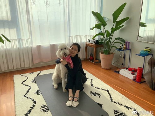 组图张娜拉怀抱萌宠温柔可人被狗亲后露嫌弃表情可爱搞怪