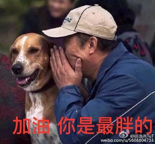 如何瘦肚子