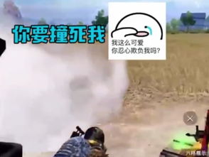 和平精英抢舔包开车撞队友没想到冷宴华居然这么皮