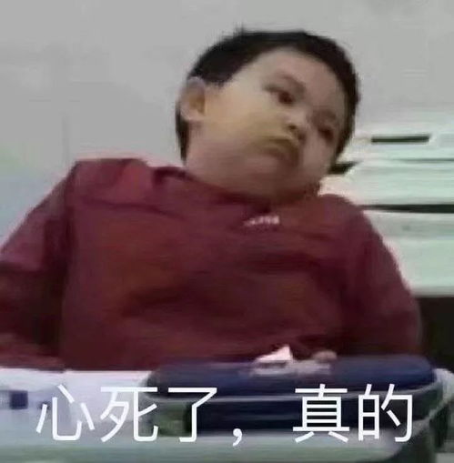 最新韩剧爱的迫降,它凭什么这么火