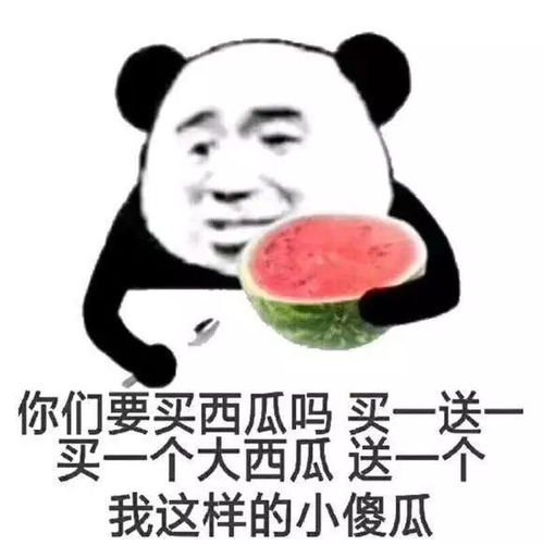 一点点喜欢你的表情包脸大