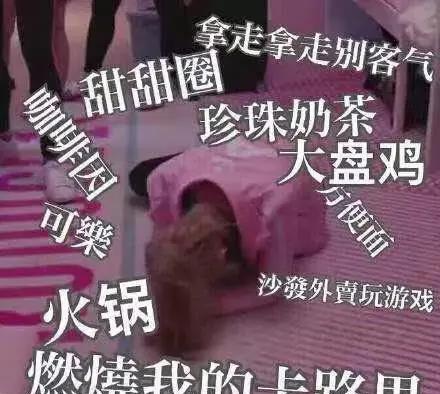 她们是20岁穿上婚纱的违规女孩,也是不被定义的火箭少女