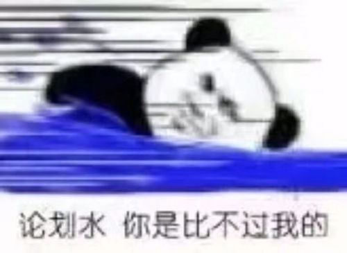 别再追我了表情包生活