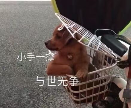 crush和隔壁班的红茶共度元旦
