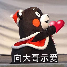 搞笑表情包大哥,请受我一拜