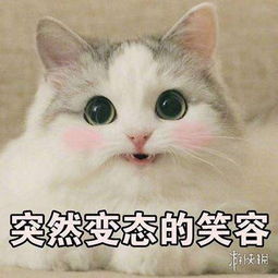 不正经新闻第33期奥斯卡颁奖结束,索尼你...