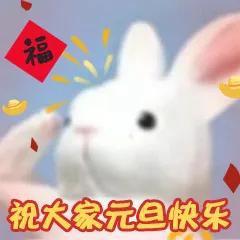 元旦表情包