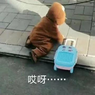 gpa不到3.5的ta如何斩获全美top10名校录取