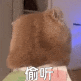 近期热图表情包