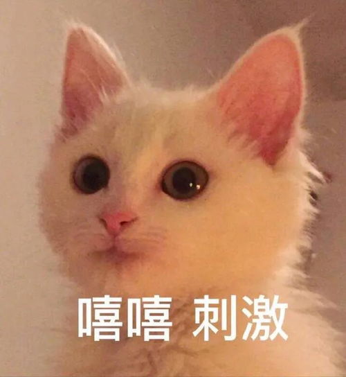 首考314,我反思总结了这几点,gre再出分337