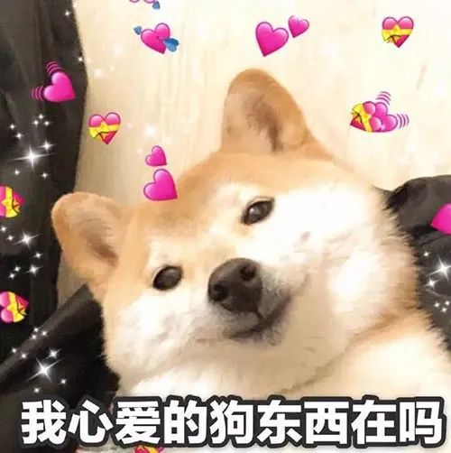 表情包一起斗图