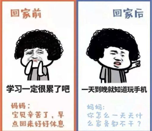 大学生寒假回家方式走红,脑洞大开不走寻常路,网友看后直呼有才