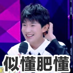 王源快乐大本营表情包心肥意冷