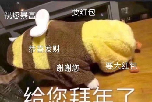 没有表情包的聊天是没有灵魂的,连欧阳娜娜和范丞丞都是表情包狂人芭姐日