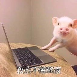 谁的生活还没有一抹绿