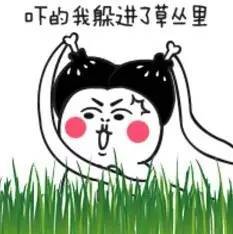小区草丛里竟揪出4条蛇赶紧认识一下深圳十大剧毒蛇长啥样