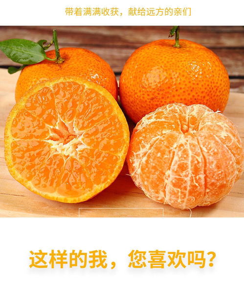 现摘现发薄皮正宗超甜新鲜砂糖桔薄皮小橘子蜜桔蜜橘桔子48小时内发货