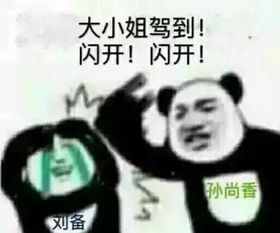 刘备x大小姐宁负天下不负你
