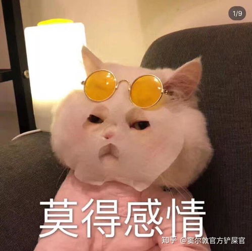 有哪些比较慵懒的表情包