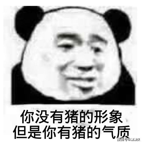 最新表情包图片我堵上我的工作和前途,只为多睡几分钟