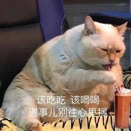 豹毙表情包暴富