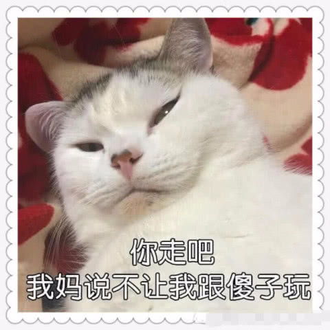 听说最近老是有人想换表情包,却找不到地方,这里可以换表情包了