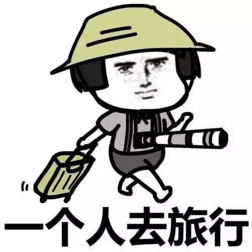 扛着高铁跑路表情包