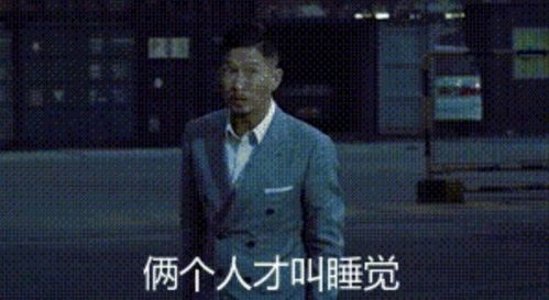 渣渣辉两个人才叫睡觉表情包两个人才叫睡觉,一个人叫休息,你跟我说要睡觉我可以的图片分享左将军游戏