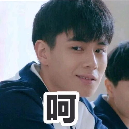 胡一天表情包