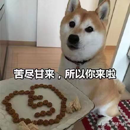 你吃过的最好吃的水果是什么
